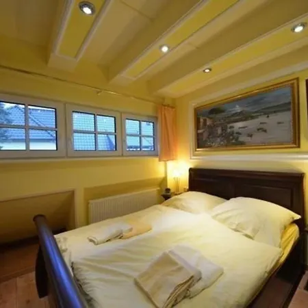 Haus Strandflieder Gross Zicker