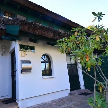 Haus Strandflieder